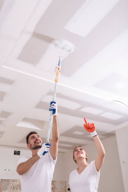  Waialua, HI Mold Removal Pros