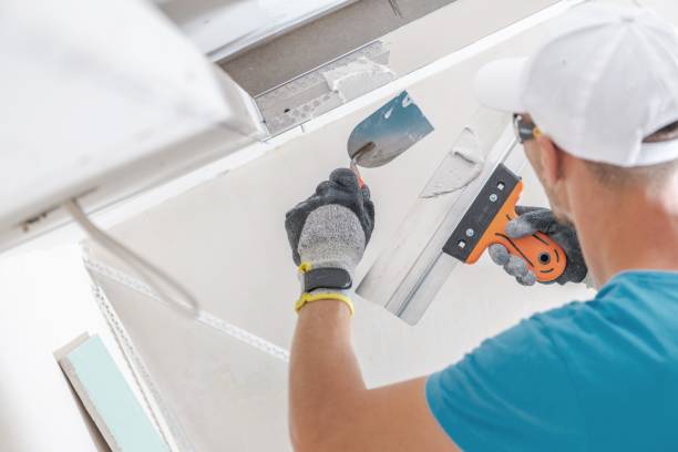 Best Attic Mold Removal  in Waialua, HI